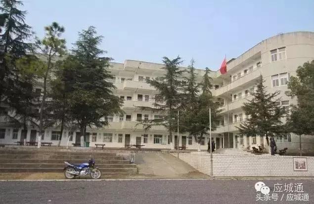 如果应城变成王者荣耀，各个乡镇都是谁……太形象了！