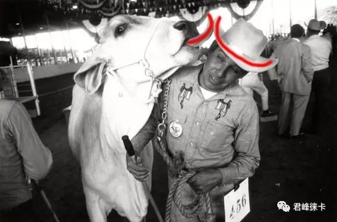 7种构图法,曲线构图十大技巧