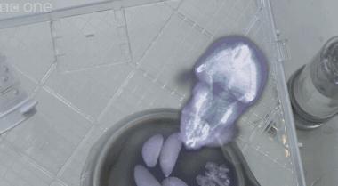 家中仓鼠三天不吃不喝不动，带去兽医院检查，结果却让大家哭笑不得