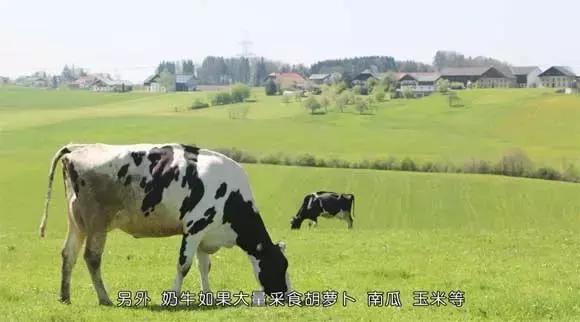 怀疑买到假奶粉要找哪个投诉,怀疑自己买到假奶粉了怎么办