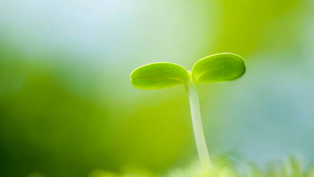 自媒体新手2个月的心路历程,新手入门自媒体7天