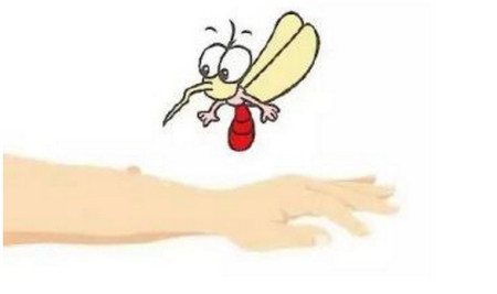 植物精油防蚊必备,山茶油可以驱蚊吗