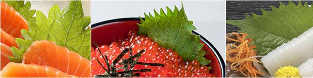 吃海鲜拉肚子怎么治疗最快方法,吃海鲜拉肚子怎么治疗