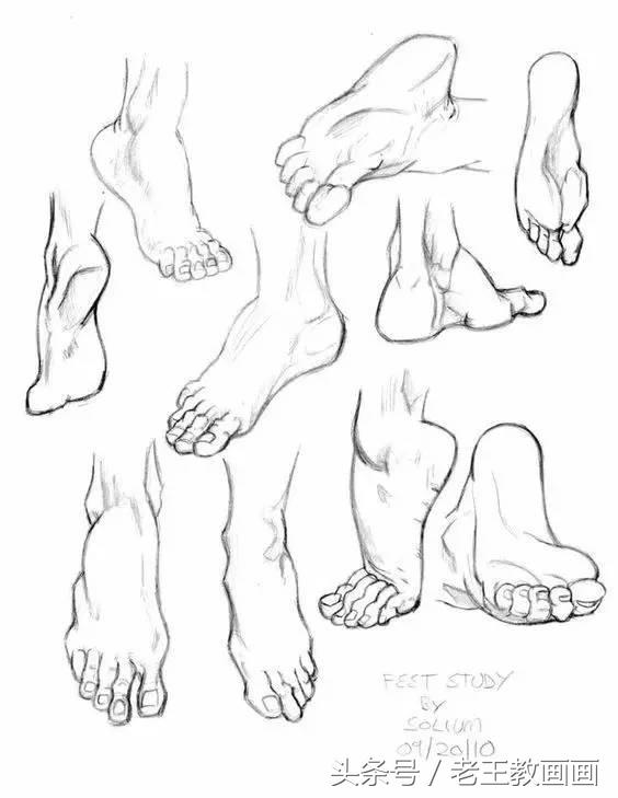 教100个零基础画画小白,零基础自学绘画入门书