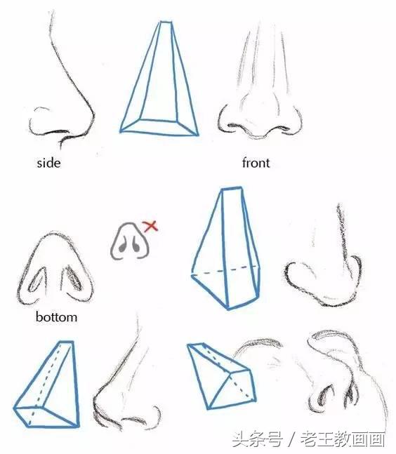 教100个零基础画画小白,零基础自学绘画入门书