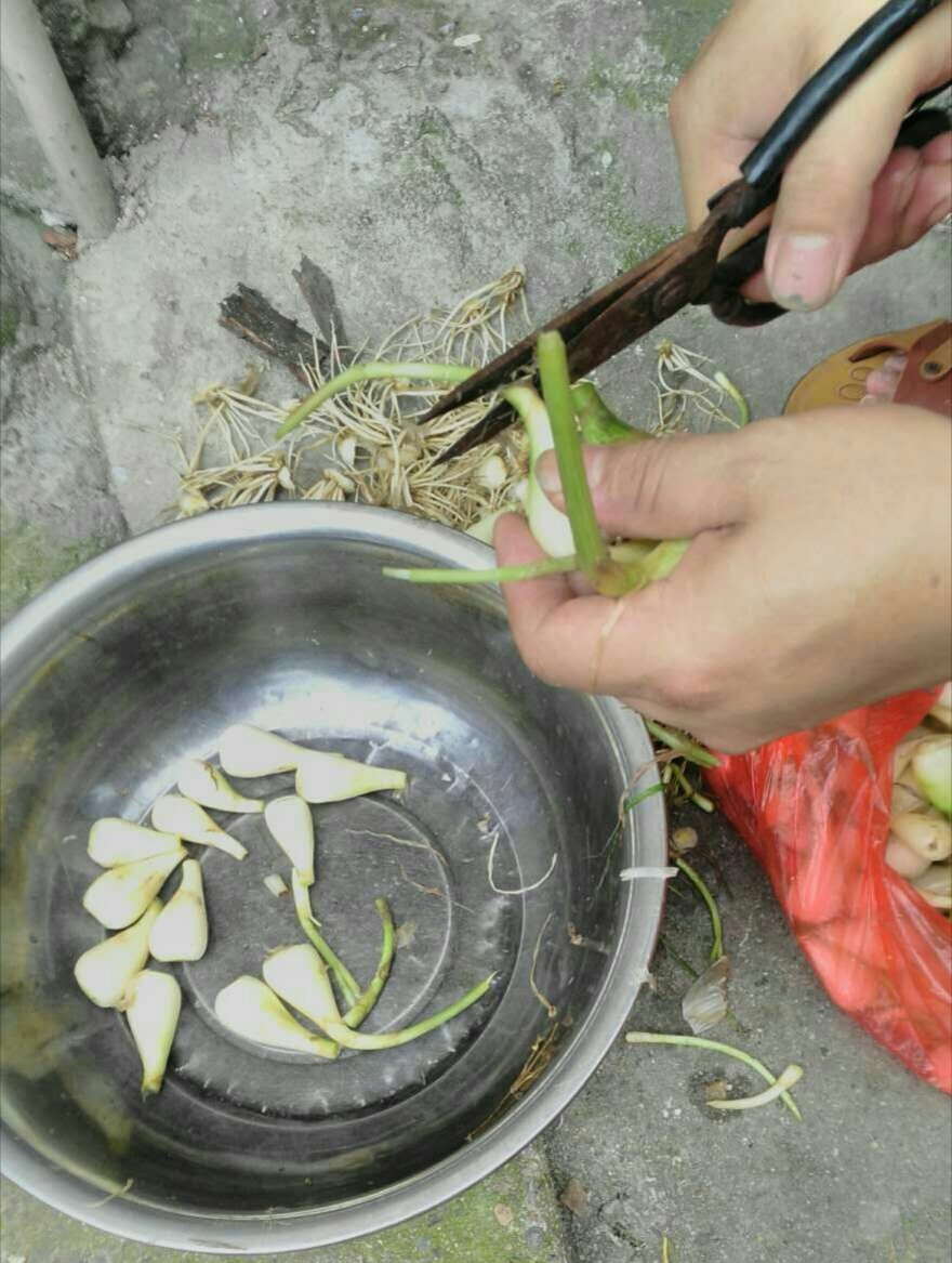 藠头的腌制方法最简单的,腌酸甜藠头的做法