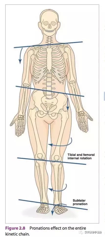 xo型腿怎么矫正和瘦腿,xo型腿怎么矫正视频