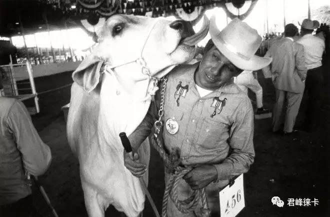 7种构图法,曲线构图十大技巧