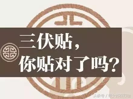 三伏贴是冬病夏治的养生保健方法,冬病夏治敷贴自己如何贴