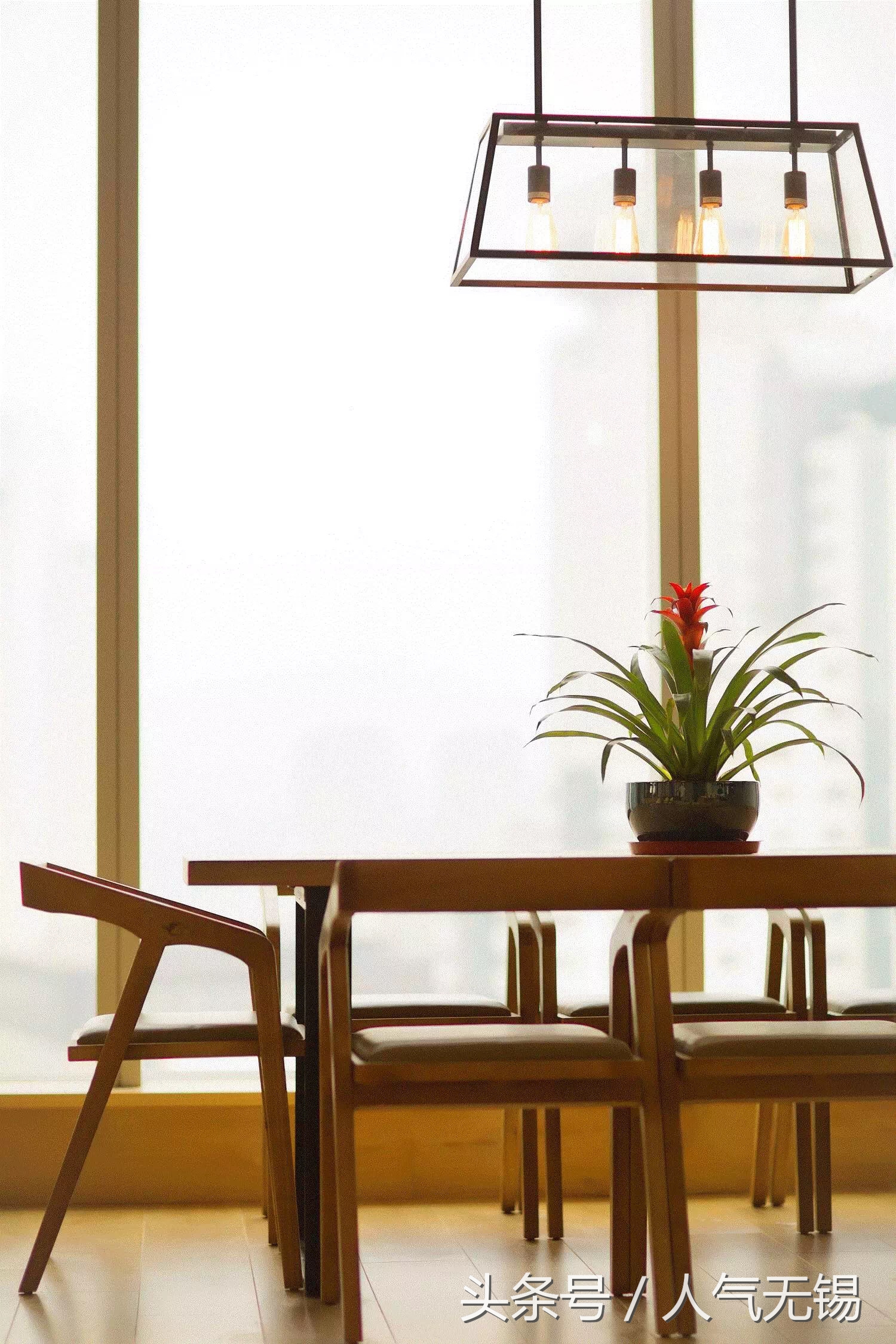 锡盟拍最美证件照,拍文艺照片的照相馆推荐