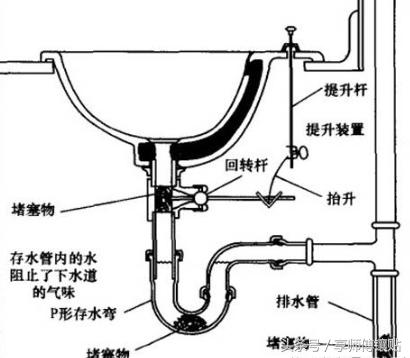 黄鳝通下水道,黄鳝下水用什么疏通最快