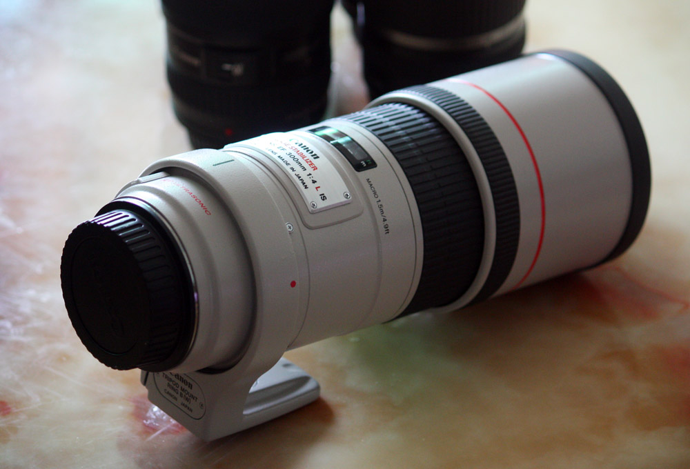 佳能300mmf4画质,佳能小炮镜头