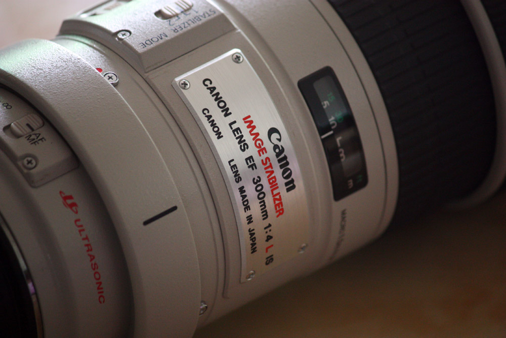 佳能300mmf4画质,佳能小炮镜头