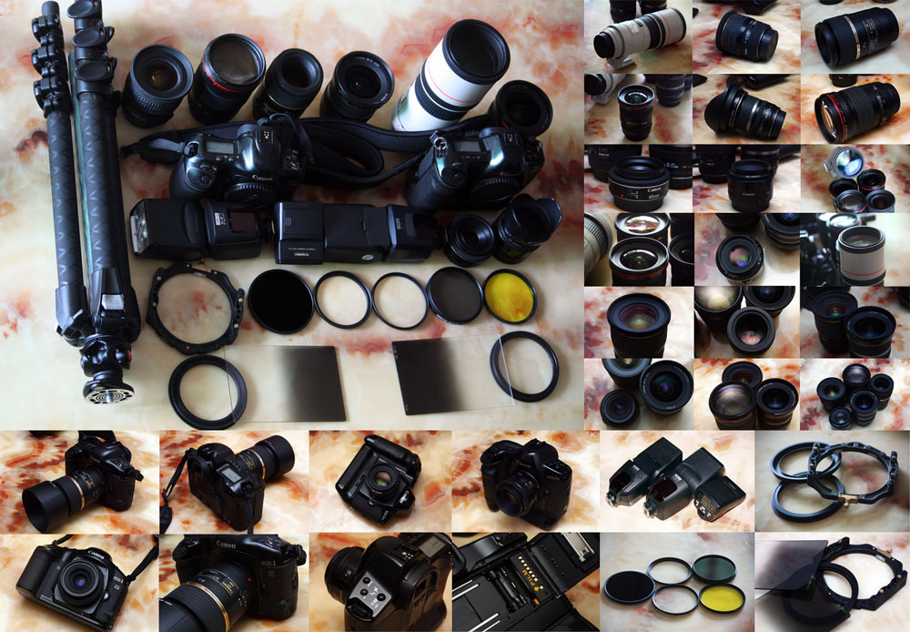 佳能300mmf4画质,佳能小炮镜头