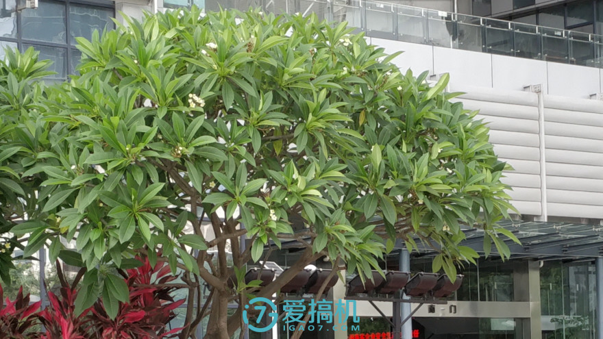 努比亚z17手感真好,努比亚z17的835是满血版吗