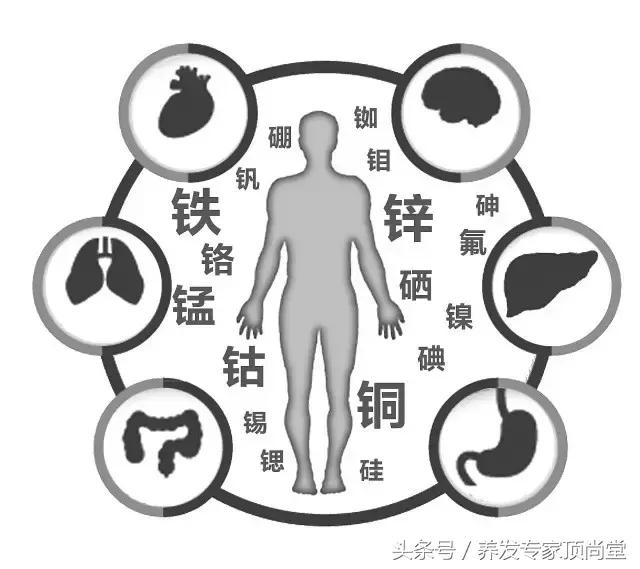 头发少适合什么发型,头发少怎么扎好看