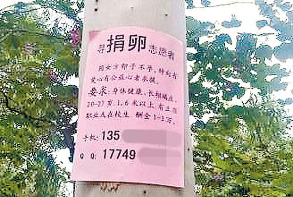 捐卵，被明码标价的青春｜关于捐卵应该知道的科普