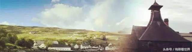 品味生命之美歌曲,生命之水感悟