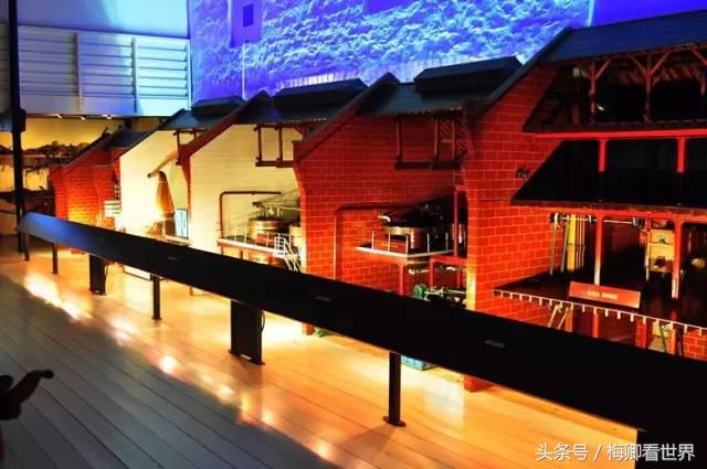 品味生命之美歌曲,生命之水感悟