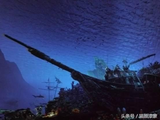 锐丽异类的上海之旅：坚果Pro畅玩迪士尼