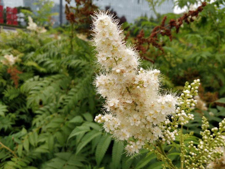 一加5详细解析,一加5值不值得购买