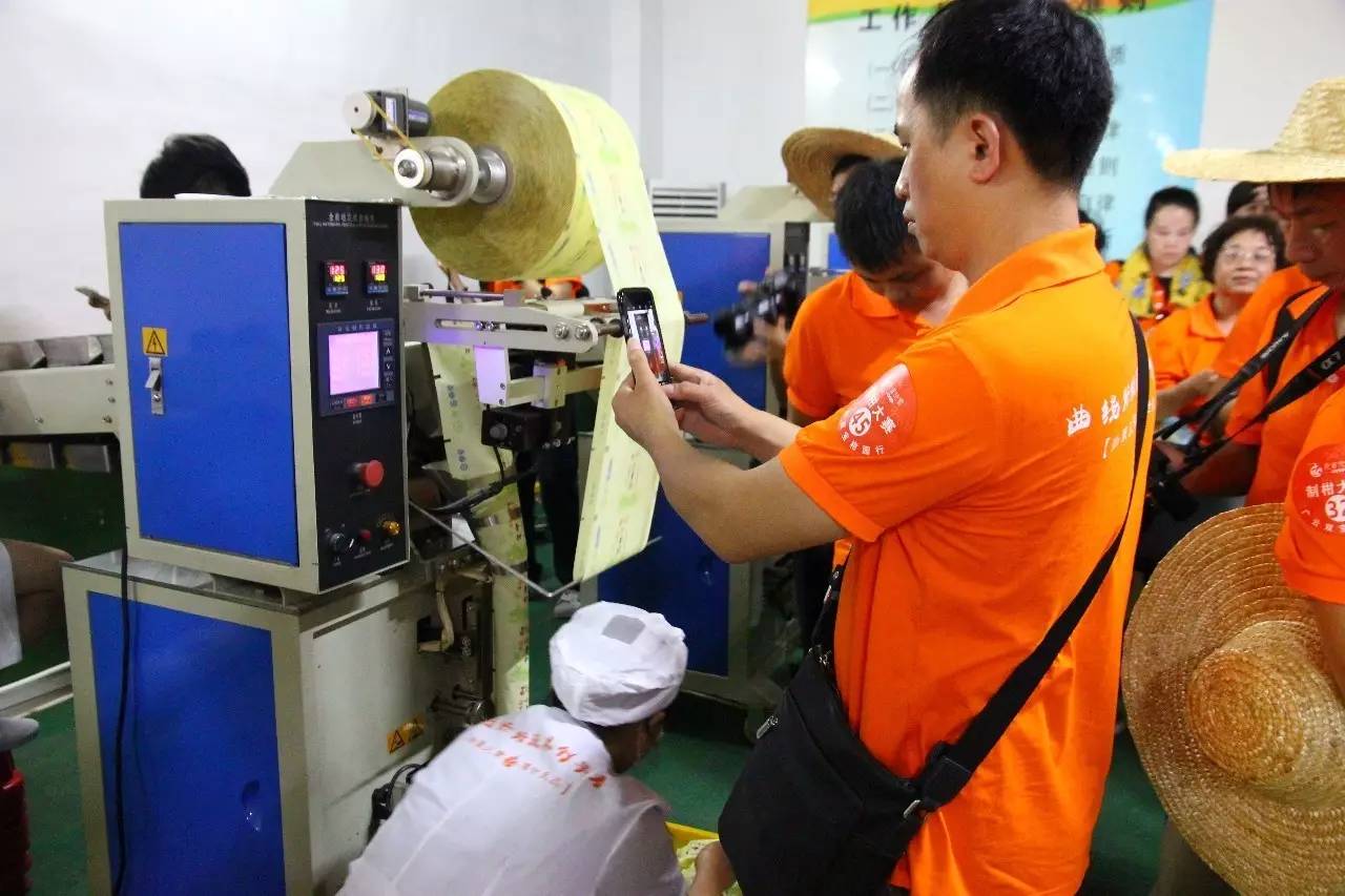 新会陈皮邀请赛,新会柑比赛