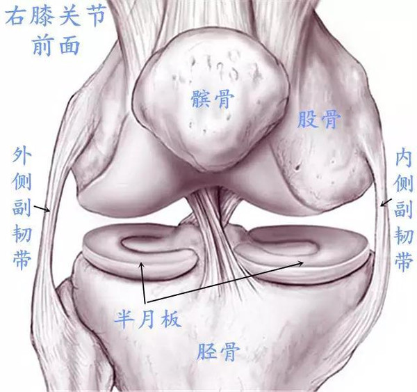 半夜半月板损伤膝盖有积液,膝盖半月板损伤要怎么治