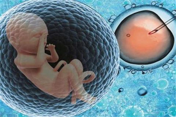 试管着床成功后饮食,母体营养饮食与胚胎着床的关系