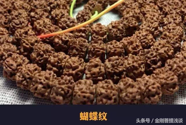 金刚菩提纹路里反碱,六瓣雪花金刚菩提纹路