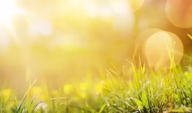 夏天是除体内寒湿最佳时间吗,夏天是祛寒湿气最好的时期