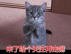 微商十大品牌,最火的微商卖什么最好