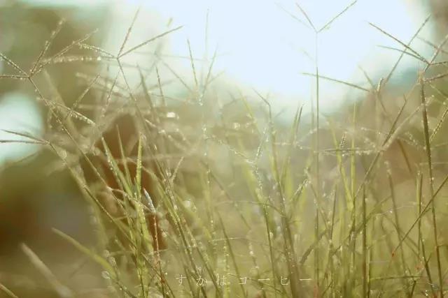 人生感悟正能量微信,玩了几十年微信才知道应该这样玩