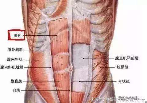 腹肌不对称的改善方法,腹肌两边不对称怎么办能继续练吗