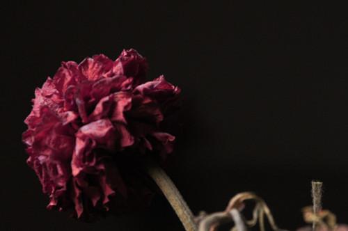 花店月入10万的秘诀,花店如何快速赚钱