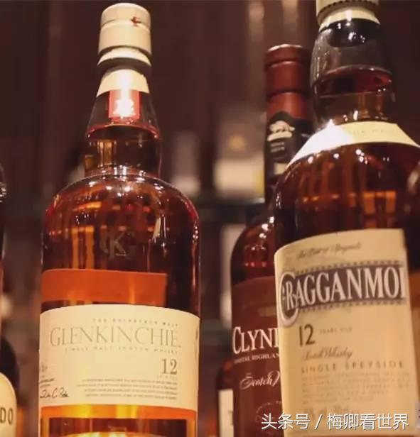 品味生命之美歌曲,生命之水感悟