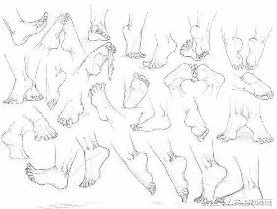 教100个零基础画画小白,零基础自学绘画入门书