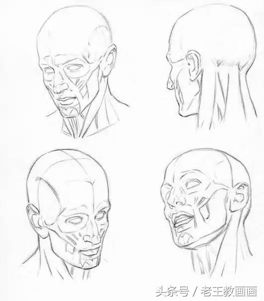 教100个零基础画画小白,零基础自学绘画入门书