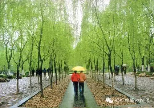 鏆栧績澶忛洦,娑﹀績鐨勭數瀛愮惔鍗曟洸