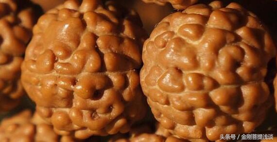 金刚菩提纹路里反碱,六瓣雪花金刚菩提纹路