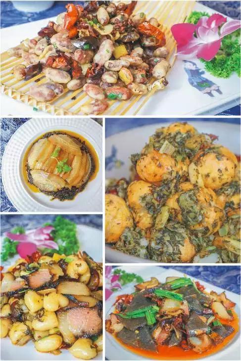 14年了，它在成都找不到对手