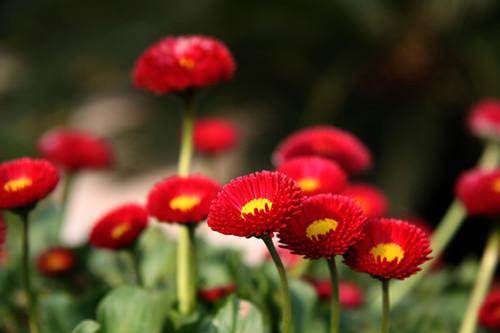 花店月入10万的秘诀,花店如何快速赚钱