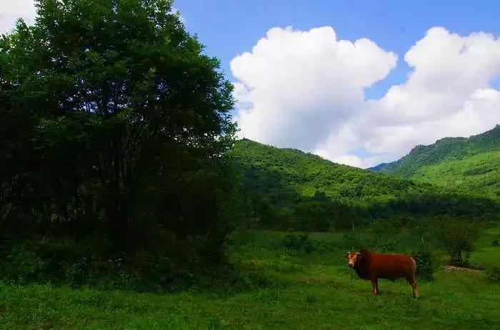 炫炫炫，我们富有的通江，岂能用钱财来衡量