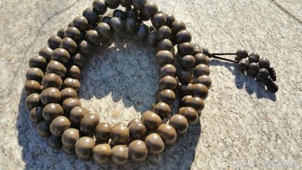 长得像玉米芽的草叫什么,长得像胡豆很硬的种子