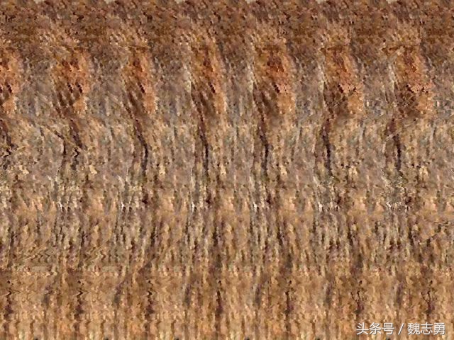 心理减压画画,减压静心的画