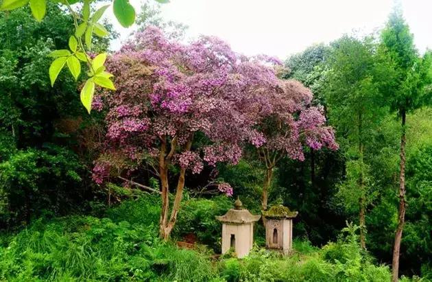 炫炫炫，我们富有的通江，岂能用钱财来衡量