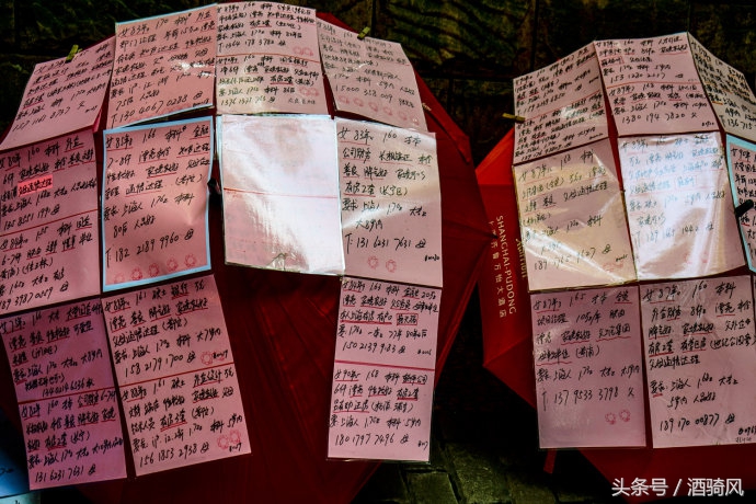 黄药师为什么对郭靖当女婿不满意,黄药师最后嫁给谁了