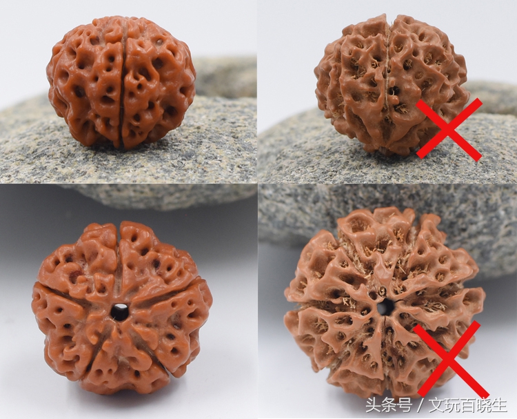 尼泊尔金刚菩提真假辨别,印尼金刚和尼泊尔金刚区别