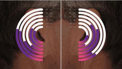 耳朵的位置特点写一段话,耳朵的位置作文