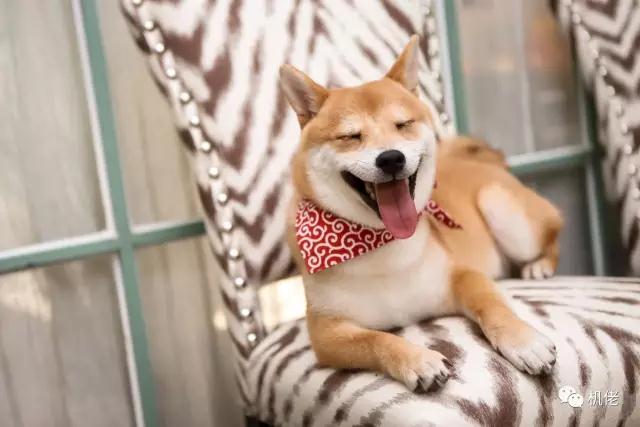 佳能6d2曝光图,全新佳能6d2开箱视频