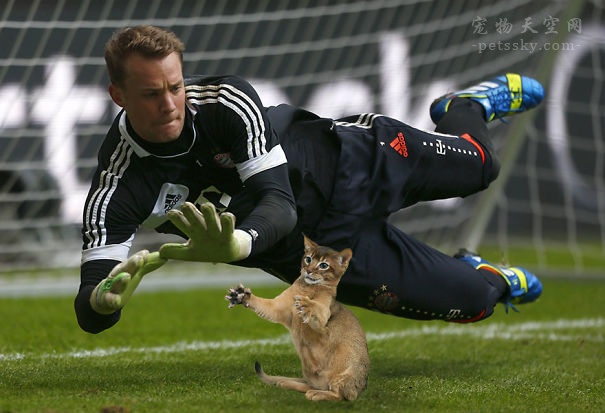 鎬庝箞鎶婅冻鐞冨仛鎴愮珛浣撶殑ps,鎶婅冻鐞僷鎴愮尗